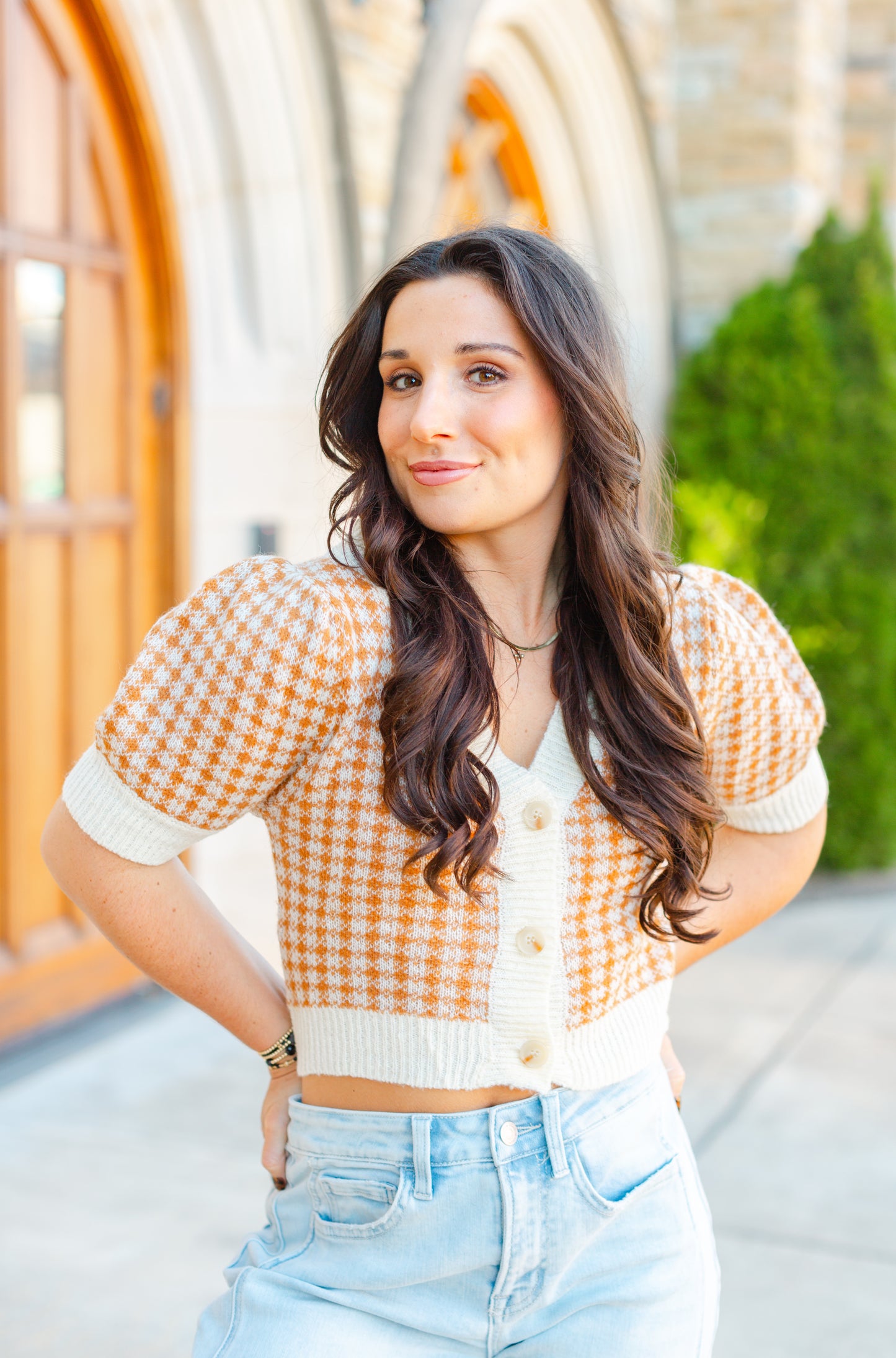 Camel Gingham Sweater Short Sleeve Top